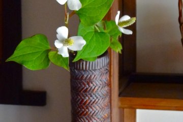 This is a hanging type basket