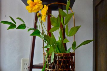 Some are on a pedestal