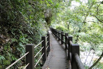 등산로