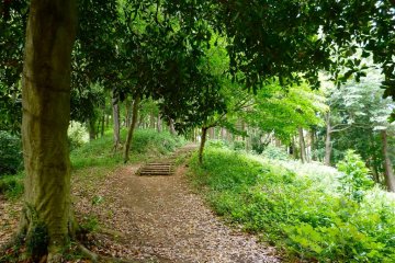 Well-equipped mountain path