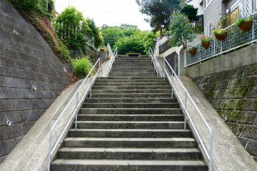 Go up these stone steps opposite the bus stop, and turn right