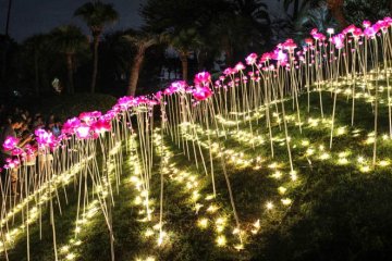 Soap bubbles were regularly released among the flowers to create a dreamy atmosphere 