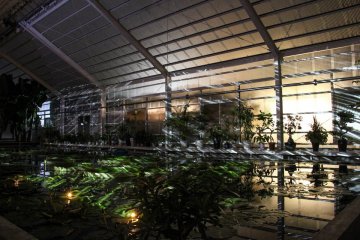 The greenhouse with the tropical flowers had its own illumination as well