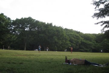 Couples cuddling among the vast expanse of space