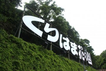 Walking down from the last stop on the flower train (Flower Bed of the Seasons), you'll be able to see this huge display that overlooks the sea.