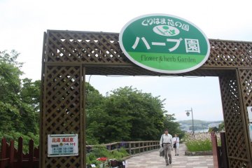 The herb garden where you can buy plants and dried herbs grown there.