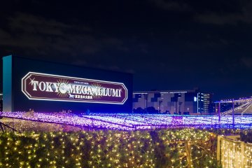 Tokyo Mega Illumi uses over 8 million lightbulbs!