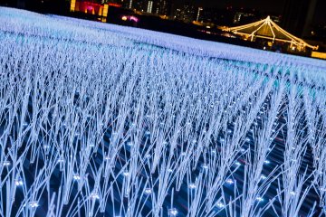 The Genfukei uses individual lights to create enormous fields of grass