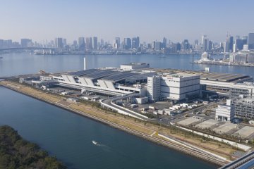 Toyosu Fish Market