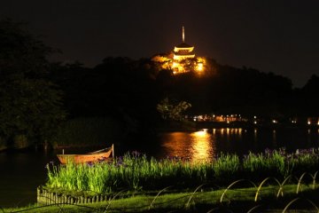 Sankeien Firefly Night