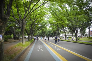 A 1964 Olympic Heritage: Komazawa Olympic Park
