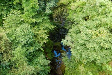 The only thing you can do is walk to the bridge close to the closed entrance and have this view down the canyon