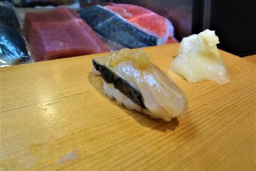 Spanish mackerel