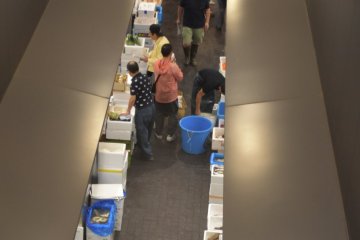 Wholesale Market Observation Area