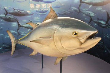 Welcome to Toyosu Fish Market