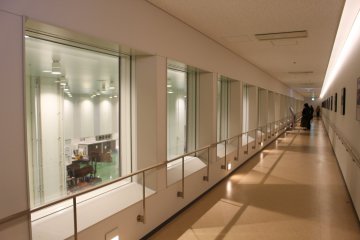 Viewing platform for the tuna auctions