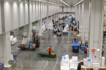Regular seafood auctions are conducted in a separate hall to the tuna auctions.