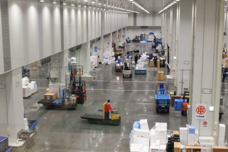 Regular seafood auctions are conducted in a separate hall to the tuna auctions.