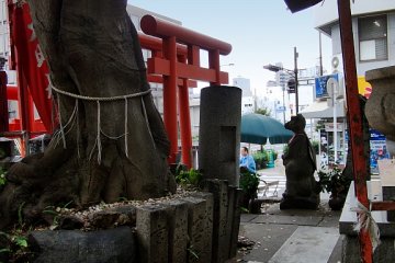A mysterious place