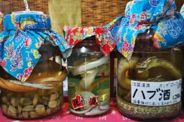 Okinawa's Main Island
