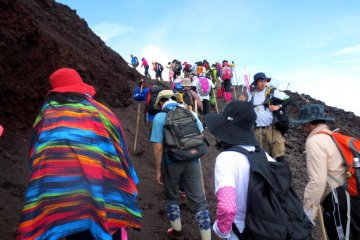 <p>Hundreds of hikers with one thing in common: Get to the summit!</p>