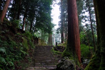 Escalier dans la forêt de Murō-ji