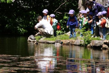 The little ones feed the fishes