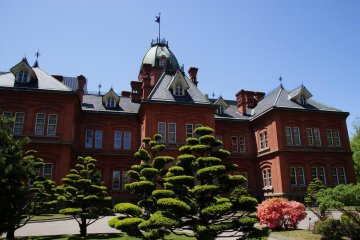 Manicured shrubs