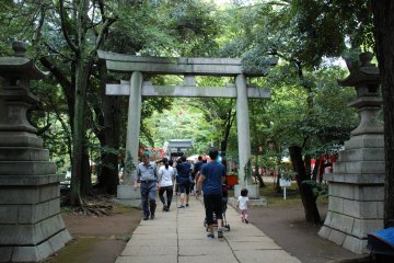 Festival à Akasaka Hikawa-jinja