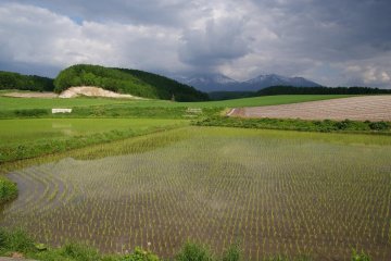 The beauty of Furano