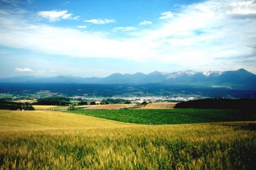 Naka Furano is beautiful place to explore by bike or scooter
