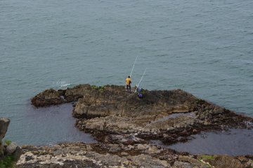 Going for the catch of the day
