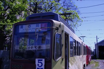 Stopping for a chat with a local by the tram depot