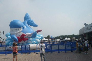 A little inflatable whale greets you with a guitar