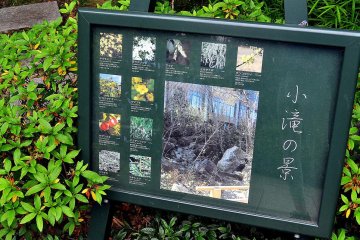 Signs placed around the park let visitors know the names of plants growing in the area.