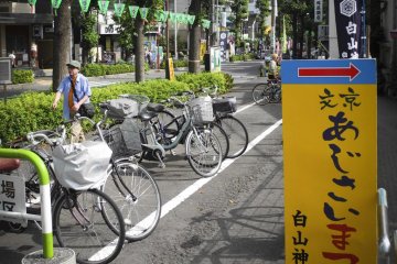 <p>Signs guiding to the festival</p>