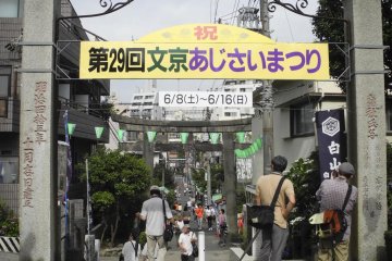 <p>Banner of the festival</p>