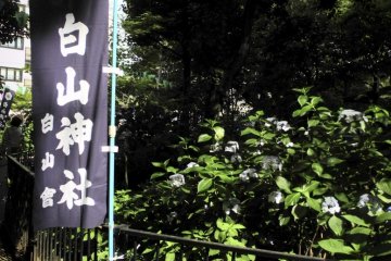 <p>Flag of the shrine</p>