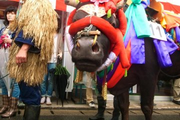 Mibu no Hana Taue