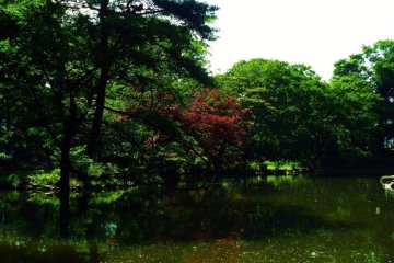 Enjoy the park