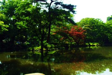 Great park with lot of water.