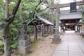 The torii gate of Hikawa Shrine