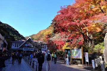 Mount Takao Autumn Leaves Festival 2026