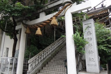 Gate to the shrine