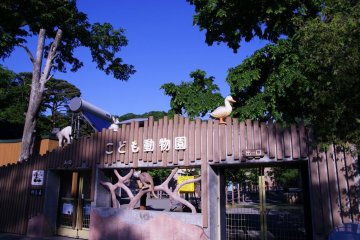 The petting zoo for children