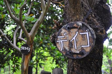 Wooden signs mark some of the trees