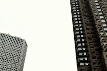 The park is adjacent to many skyscrapers in Shinjuku