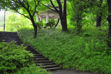 A quaint gazebo is tucked up in the treetops