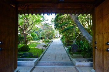 Entrance gate of Hokoku-ji Temple