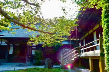 Garden in front of the main hall